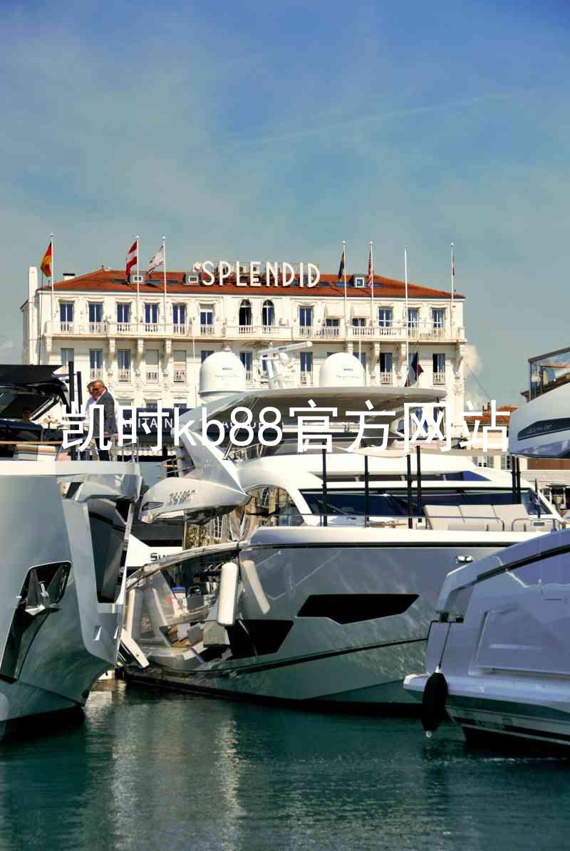 凯时kb88官方网站